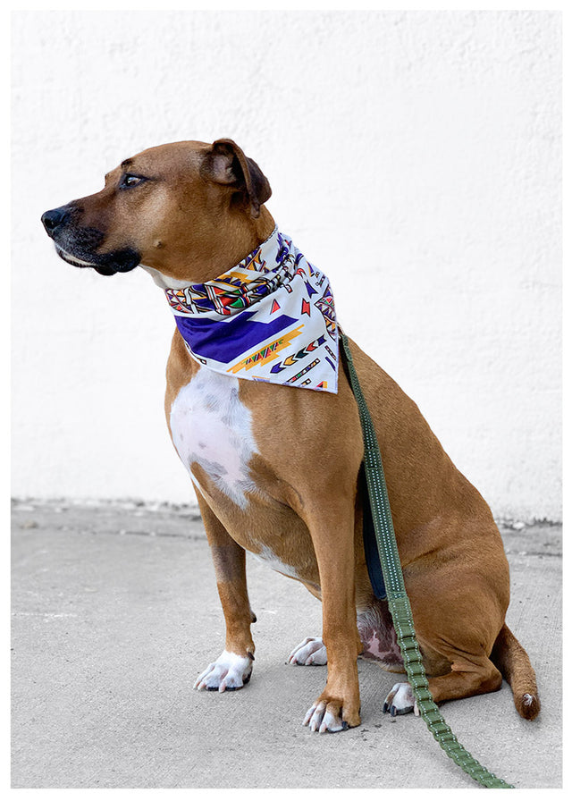 Cotton Bandana